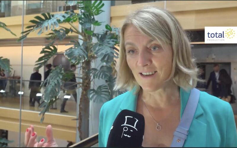 Evelyn Regner (S&D), “Europe must be economically strong, especially if compared to China”